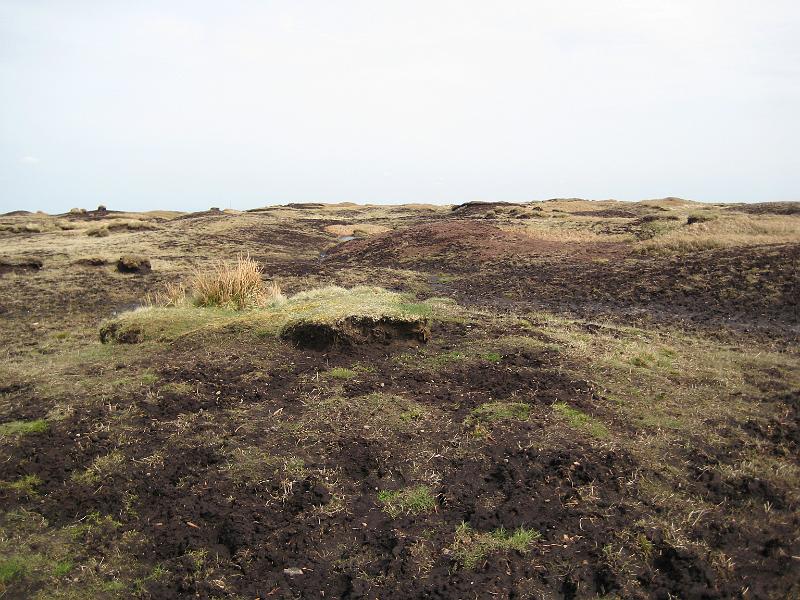 Charlie Spinks 40th 039.jpg